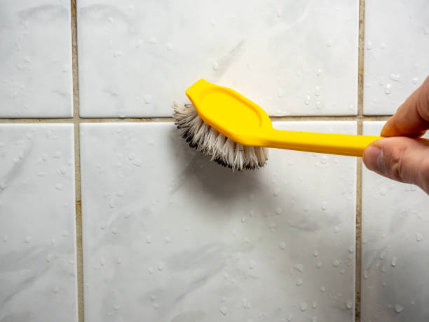Best Mold Remediation  in Laurel Park, NC