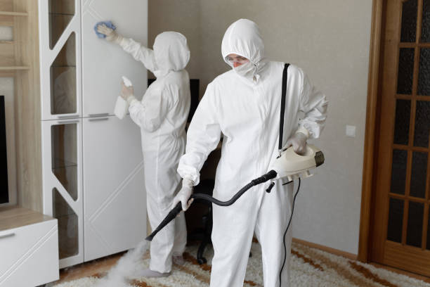 Certified Mold Removal in Laurel Park, NC