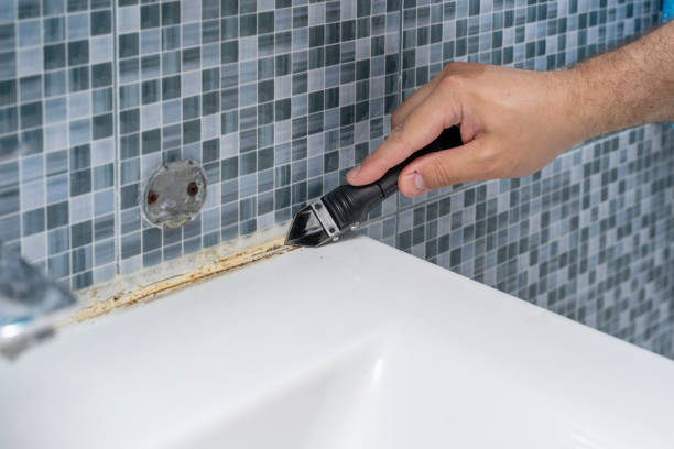 Best Mold Remediation Services  in Laurel Park, NC